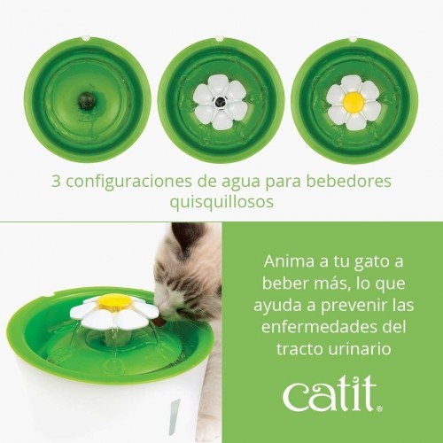 Bebedouro e tapete combinados com comedouro, verde