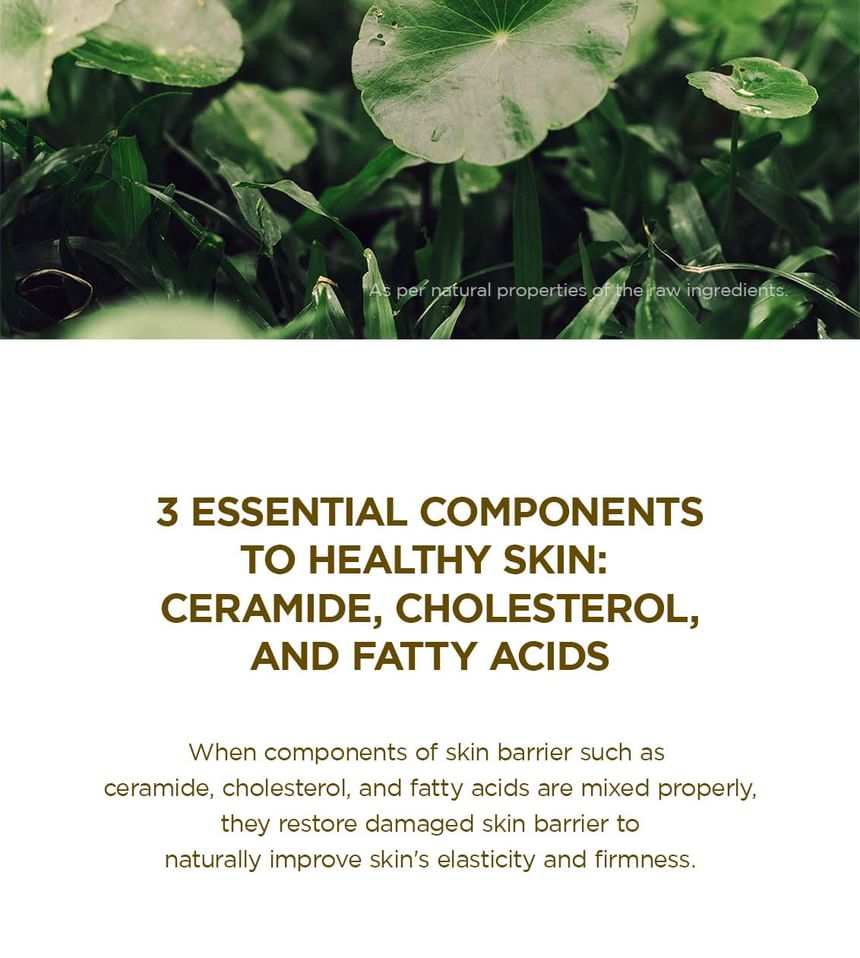 SKIN 1004 - Madagaskar Centella Verzachtende Crème