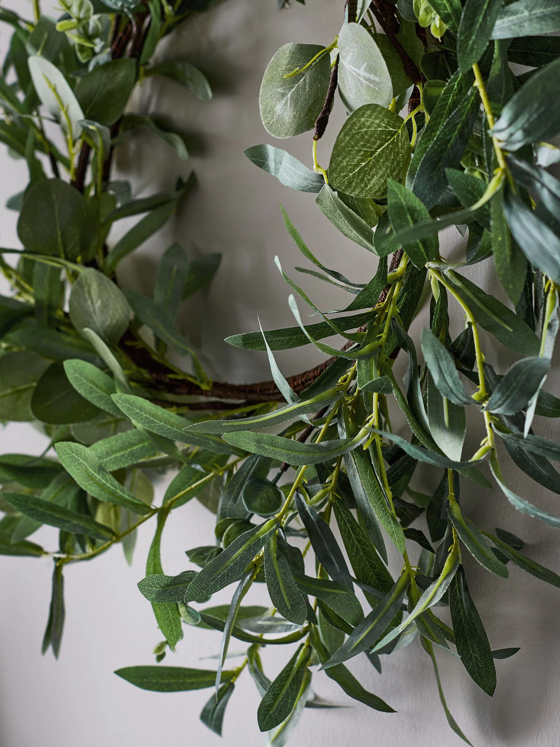 Eucalyptus Krans