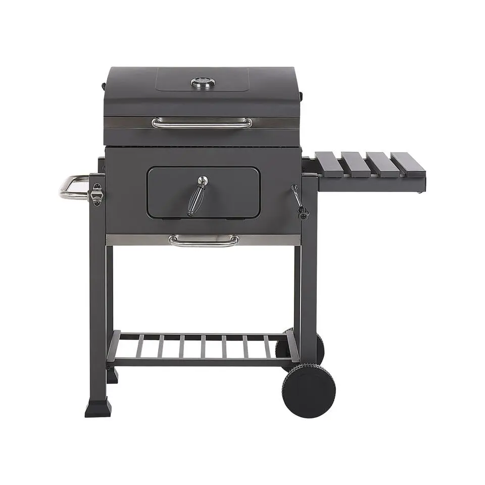 PAVLOF - Houtskoolgrill - Grijs - Staal