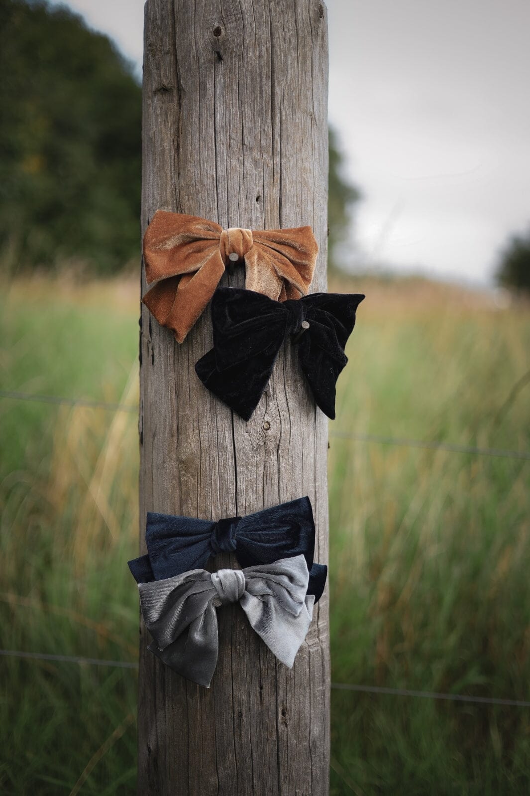 Black Colour Bccorinne Big Bow Barette Hair Clip grey