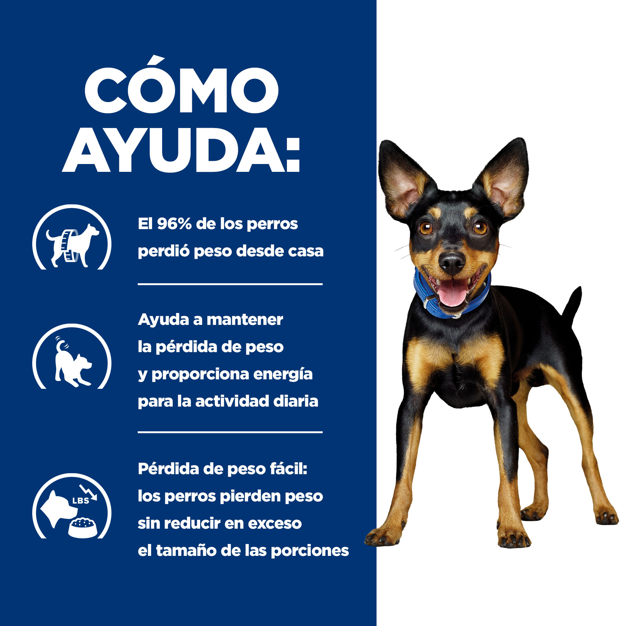 Hill's Prescription Diet Metabolic Mini Weight Loss pia para cachorros