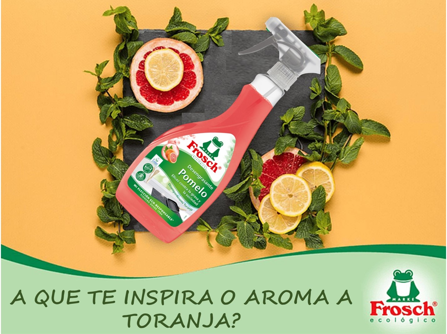 LIMPEZA COZINHA FROSCH DESENGORDURANTE TORANJA 500ML