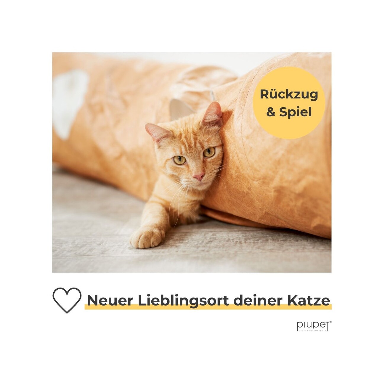 PIUPET Katzentunnel