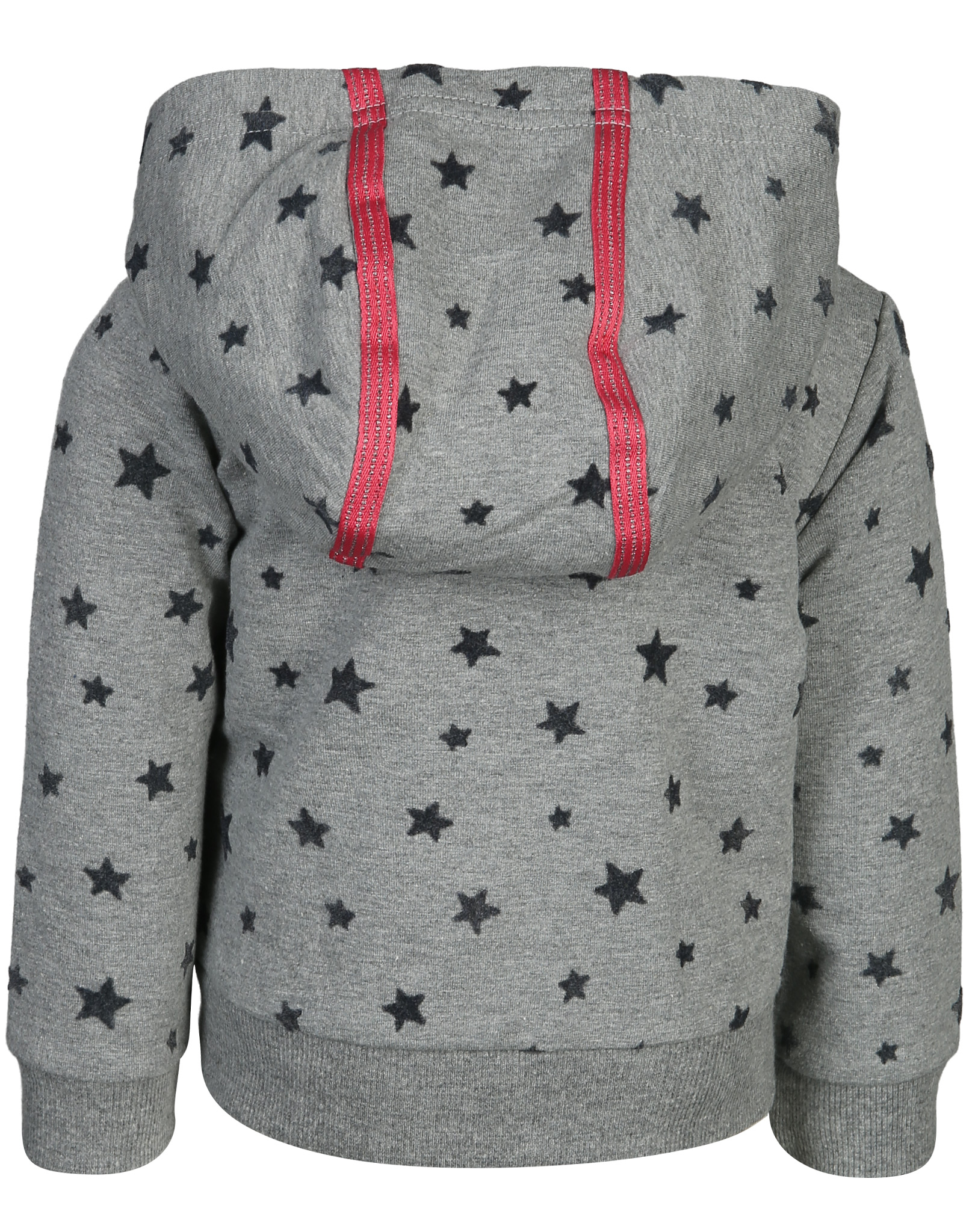 Kapuzen-Sweatjacke STARSHINE in grau