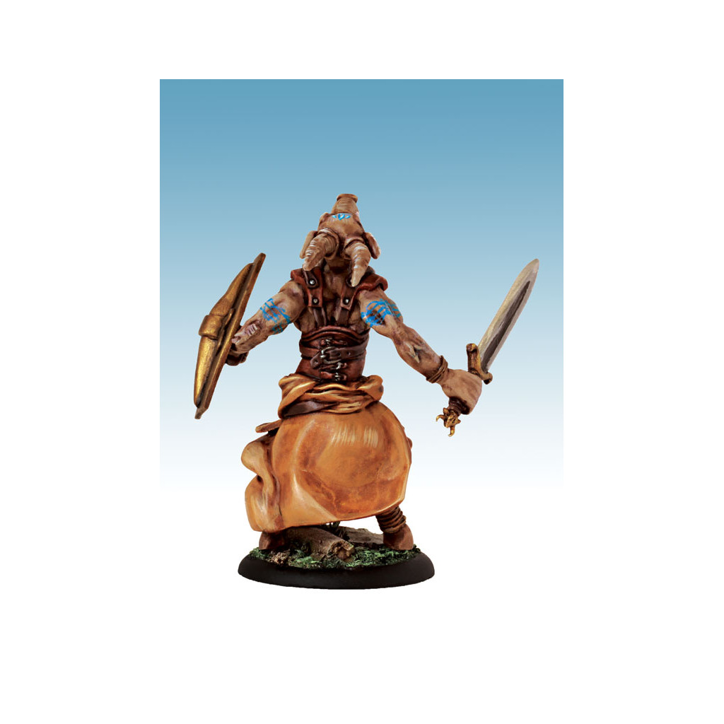 Briskars - Celks - Guerrier Pikte 1