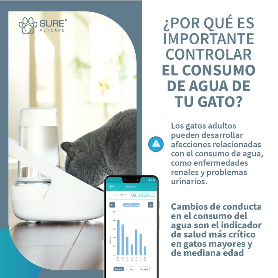 Dispensador de água automático Sure Petcare Felaqua Connect para gatos