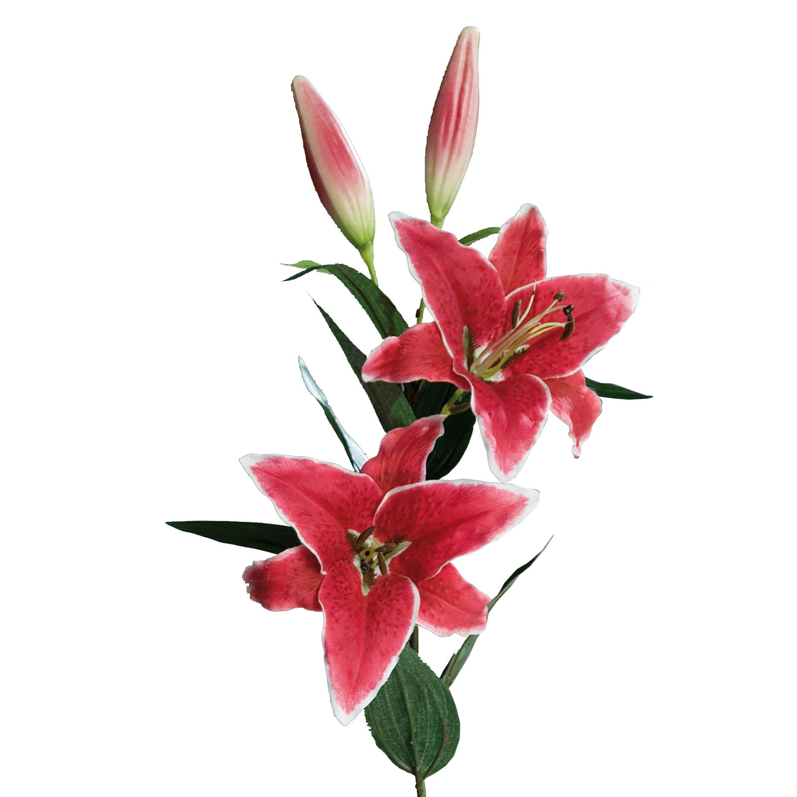 Lilie - Kunstblume - fuchsia