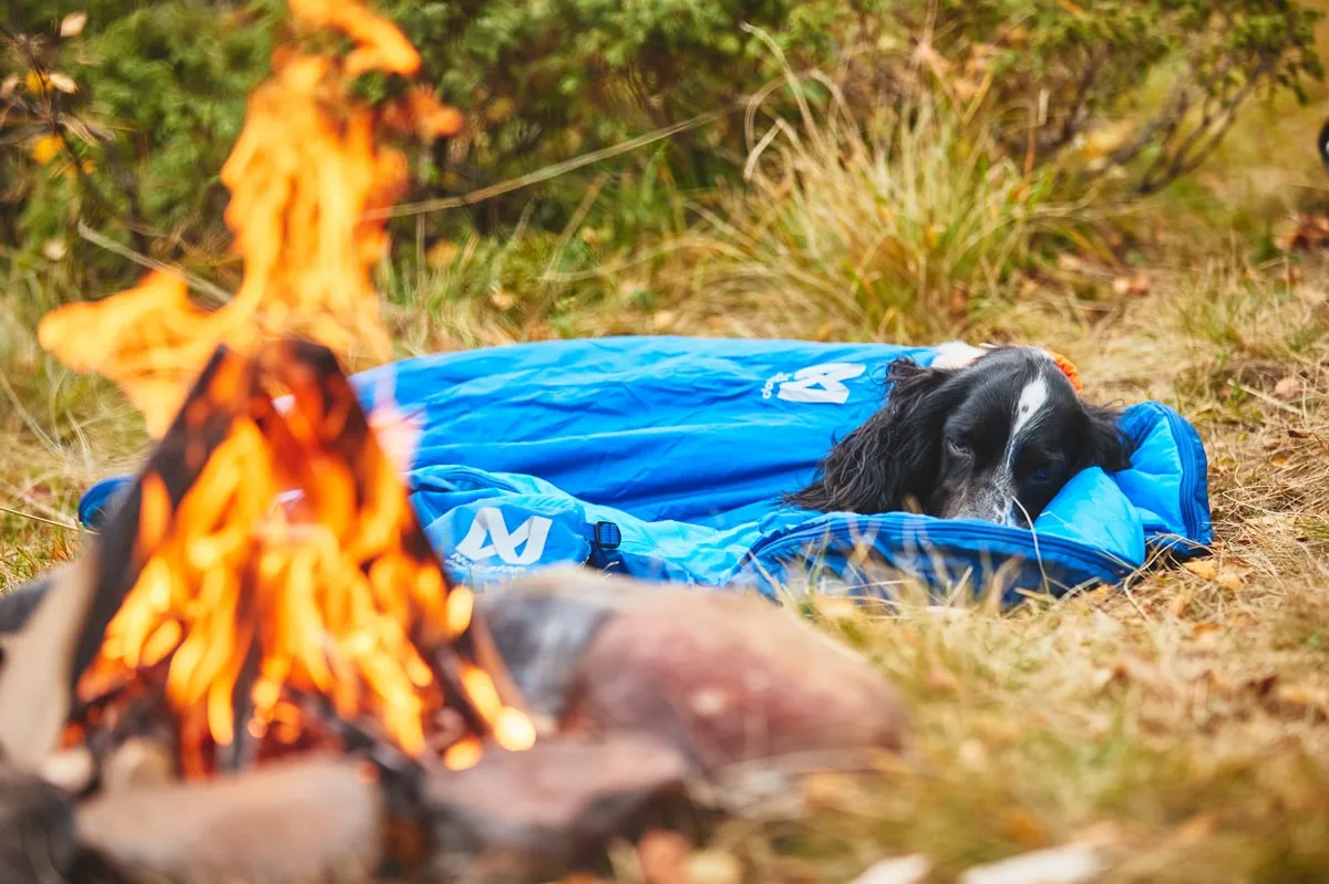 Non-stop Dogwear Ly Sleepingbag For Dog Blue