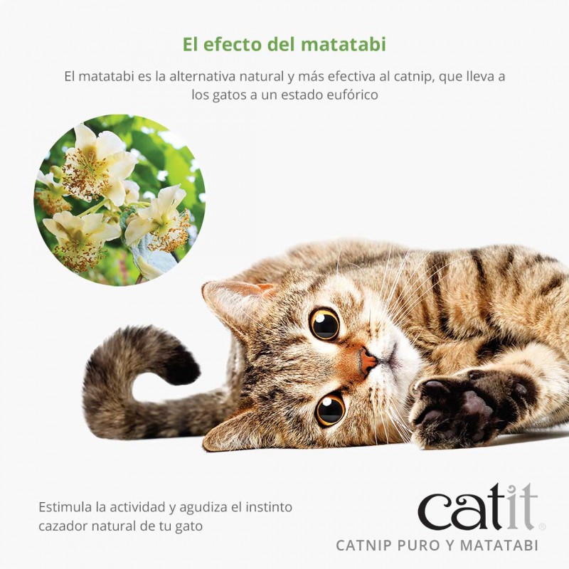 Catit Catnip e Matatabi Seco 28 g