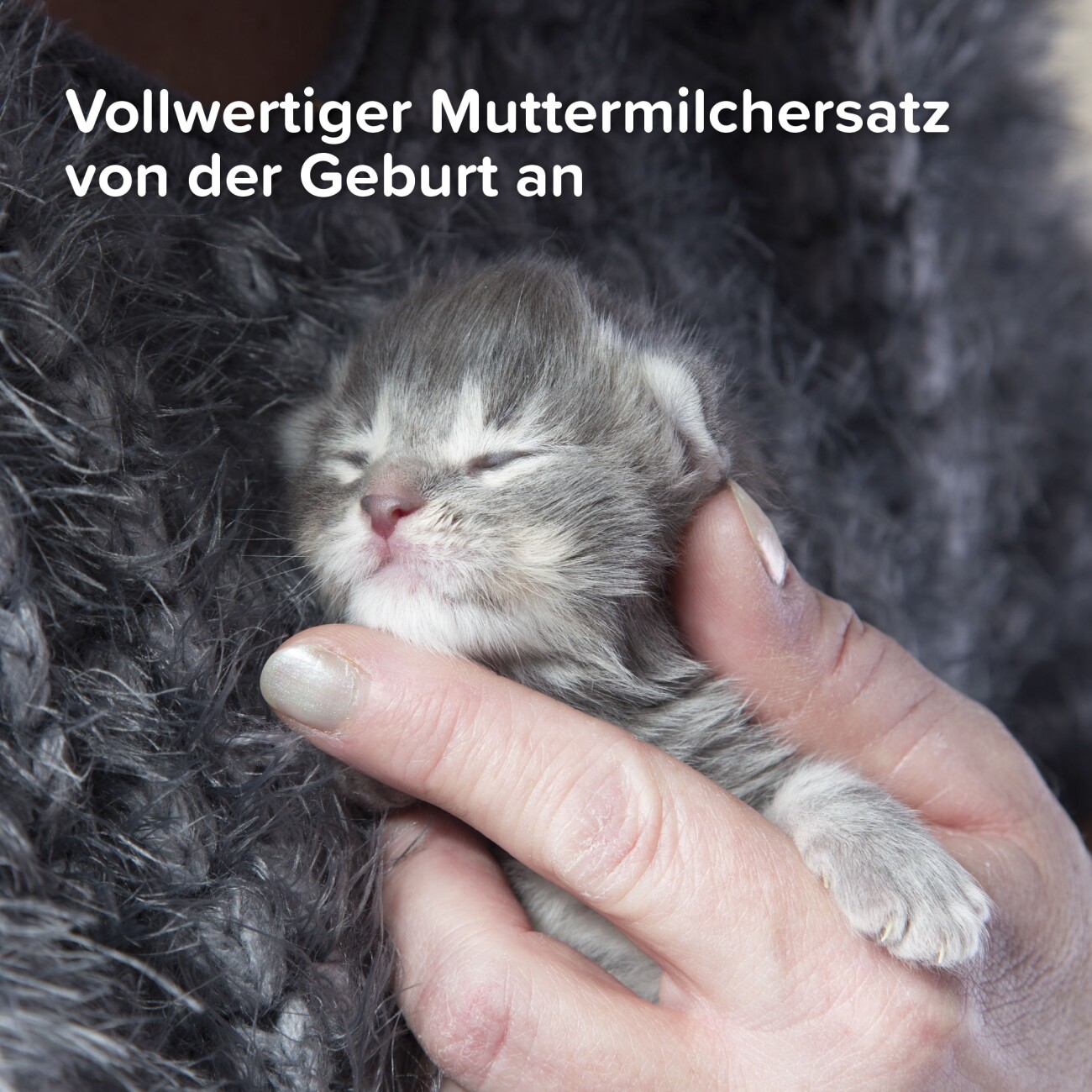 Beaphar Lactol Aufzucht-Milch 500 g