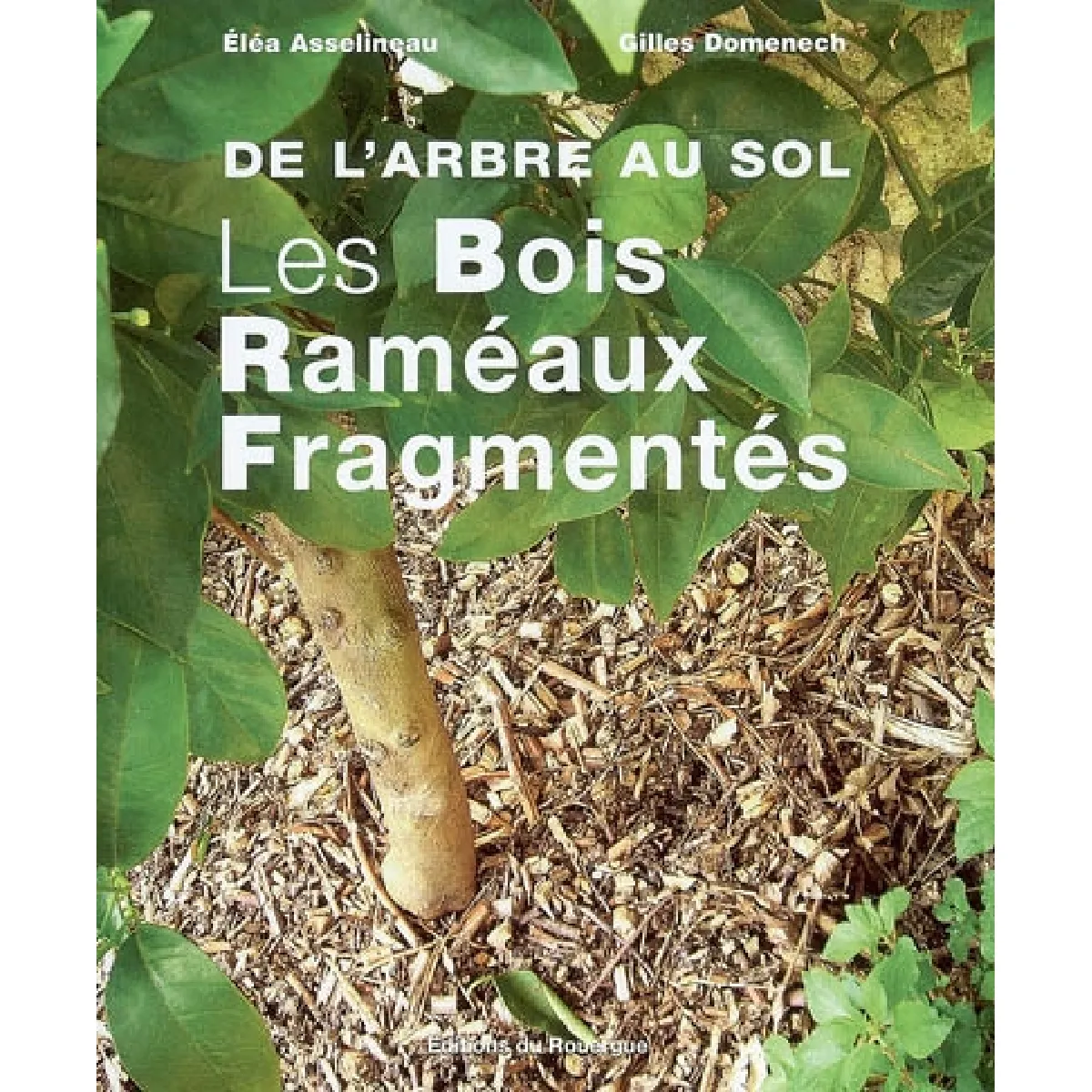 De l'arbre au sol, les bois raméaux fragmentés · Occasion