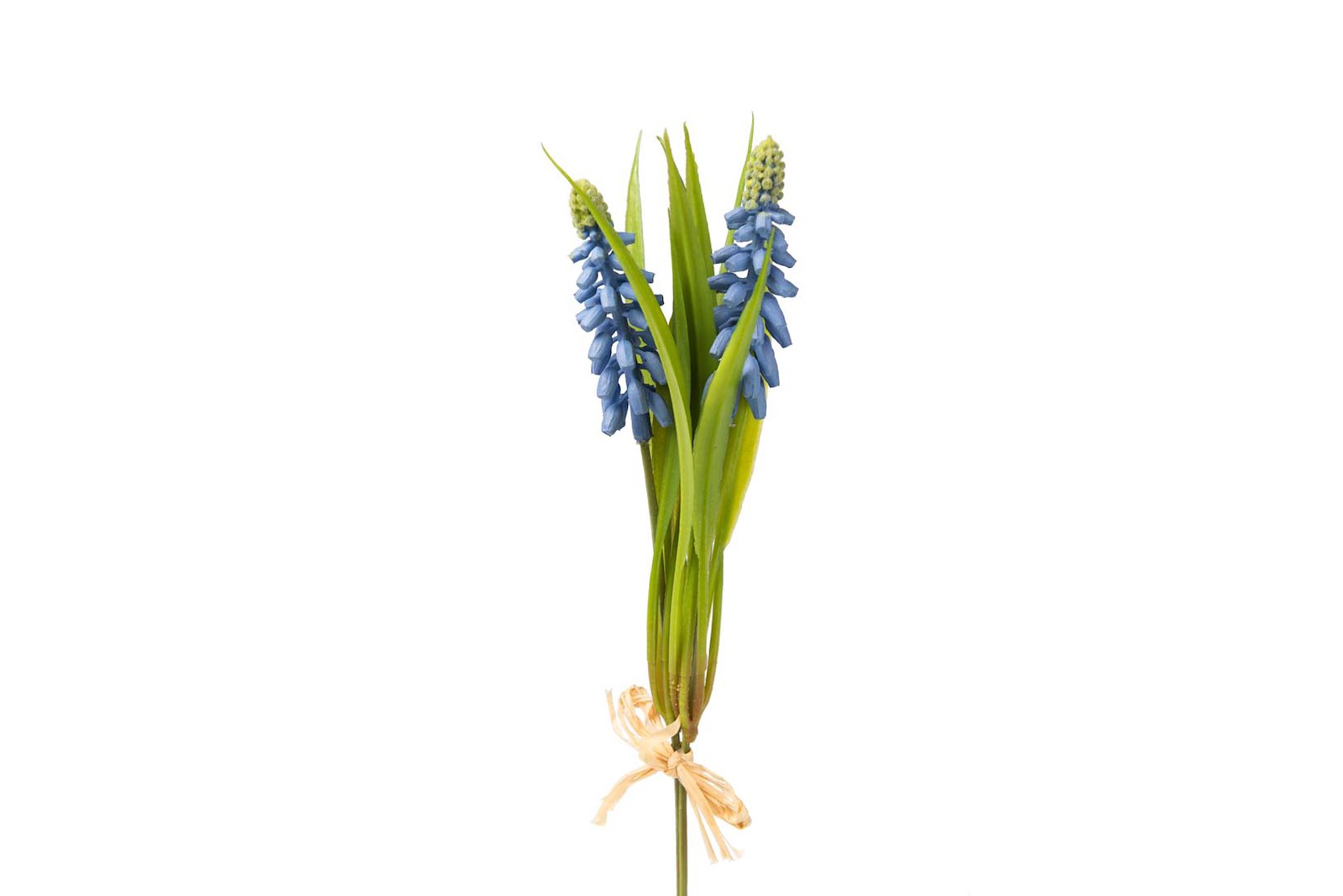 Hyacinth stilkblomst Grønn/blå H20 cm