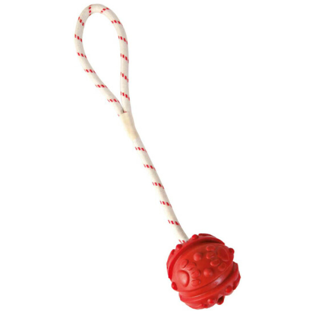 Balle flottante sur corde Trixie pour chien