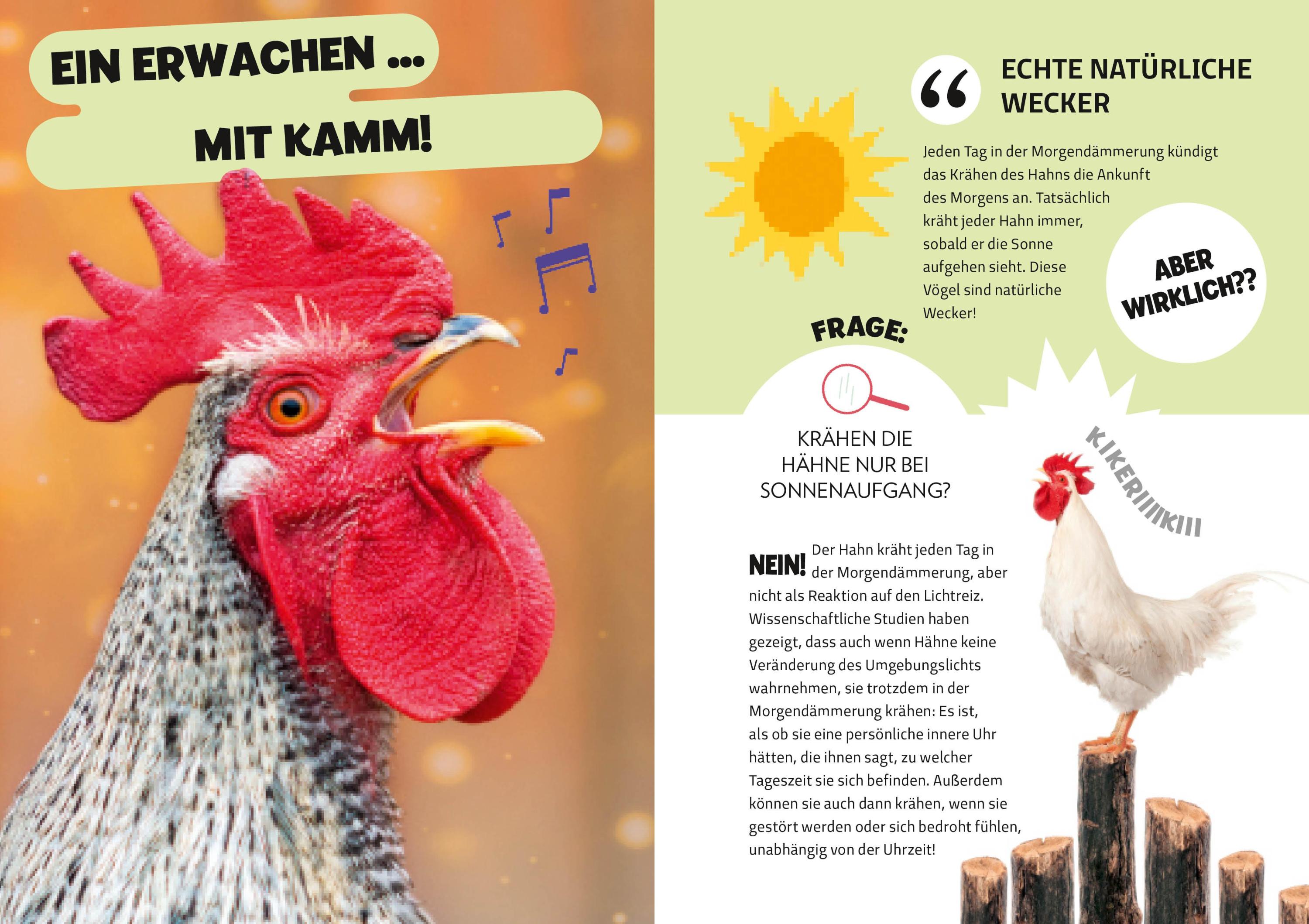 Die Mythenjäger. Keine Chance für Fake News und Lügenmärchen. Checke dein Wissen in unglaublichen Tests!