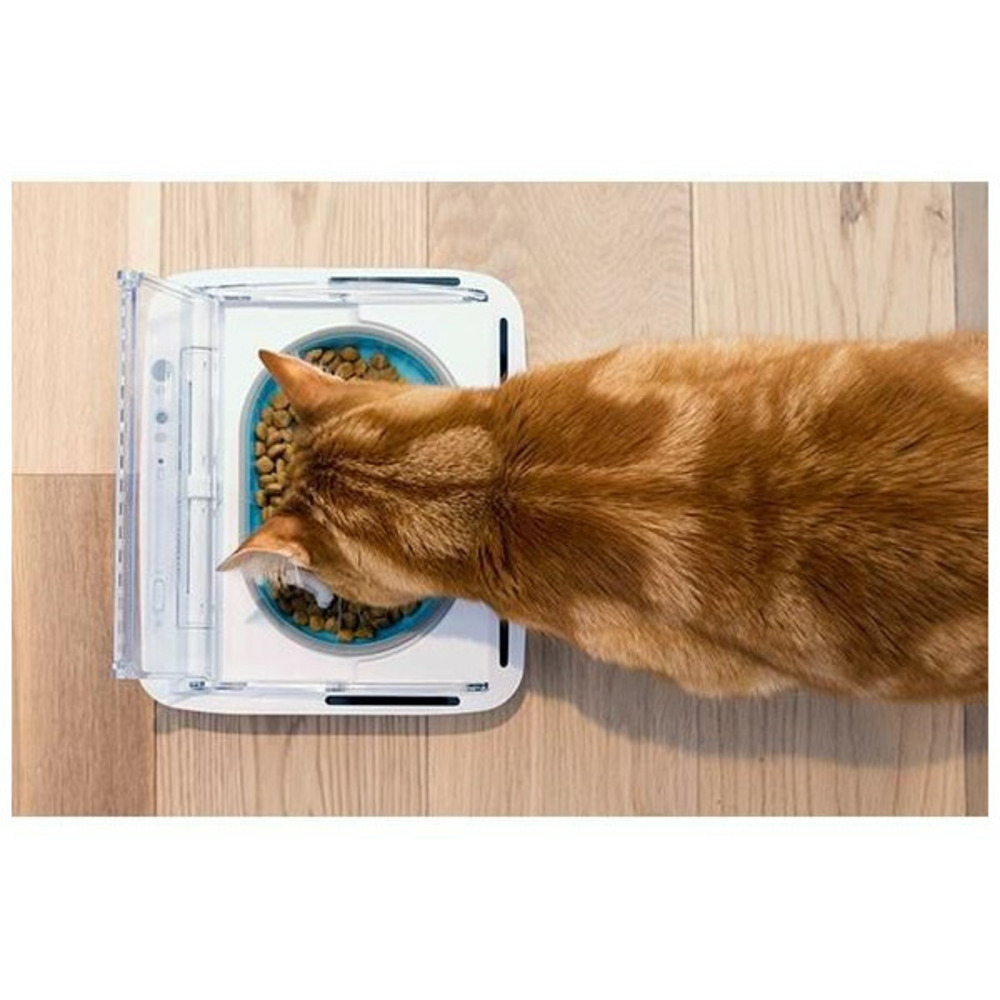 Surefeed distributeur de nourriture automatique - blanc (livré avec un bol simple)