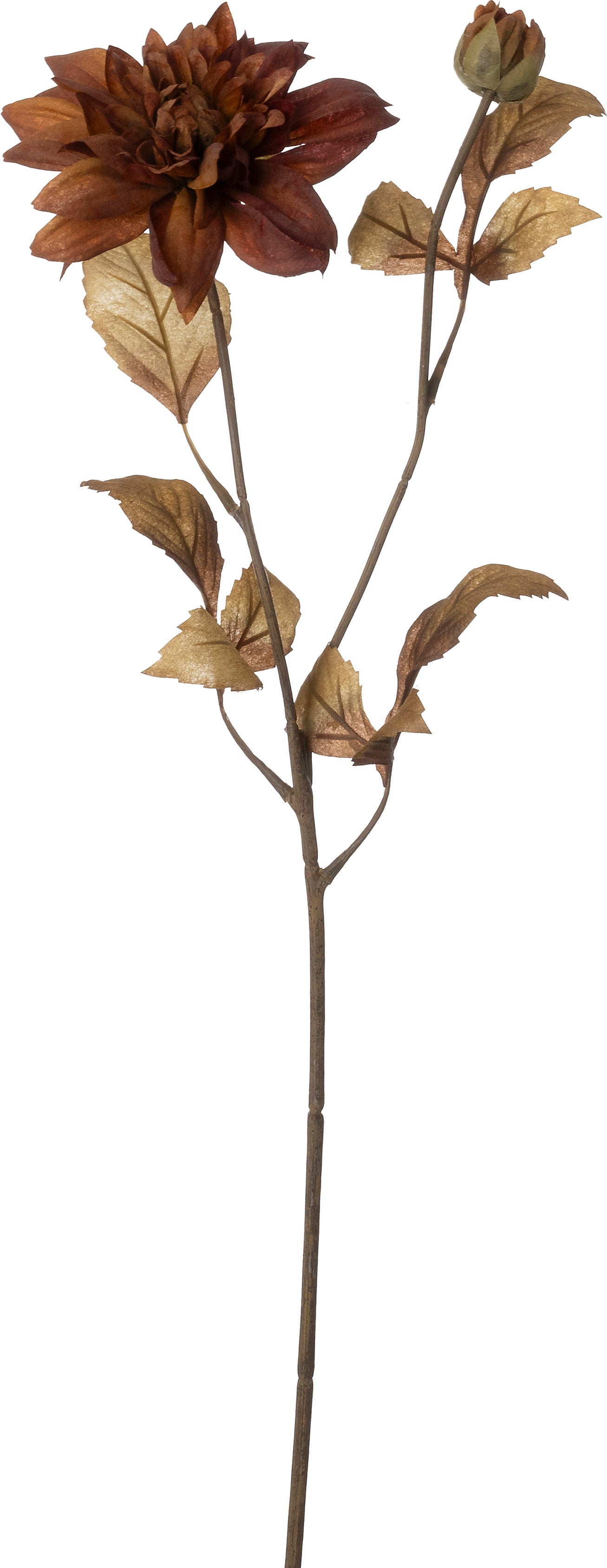 Intratuin kunstbloem Dahlia bruin 72 cm