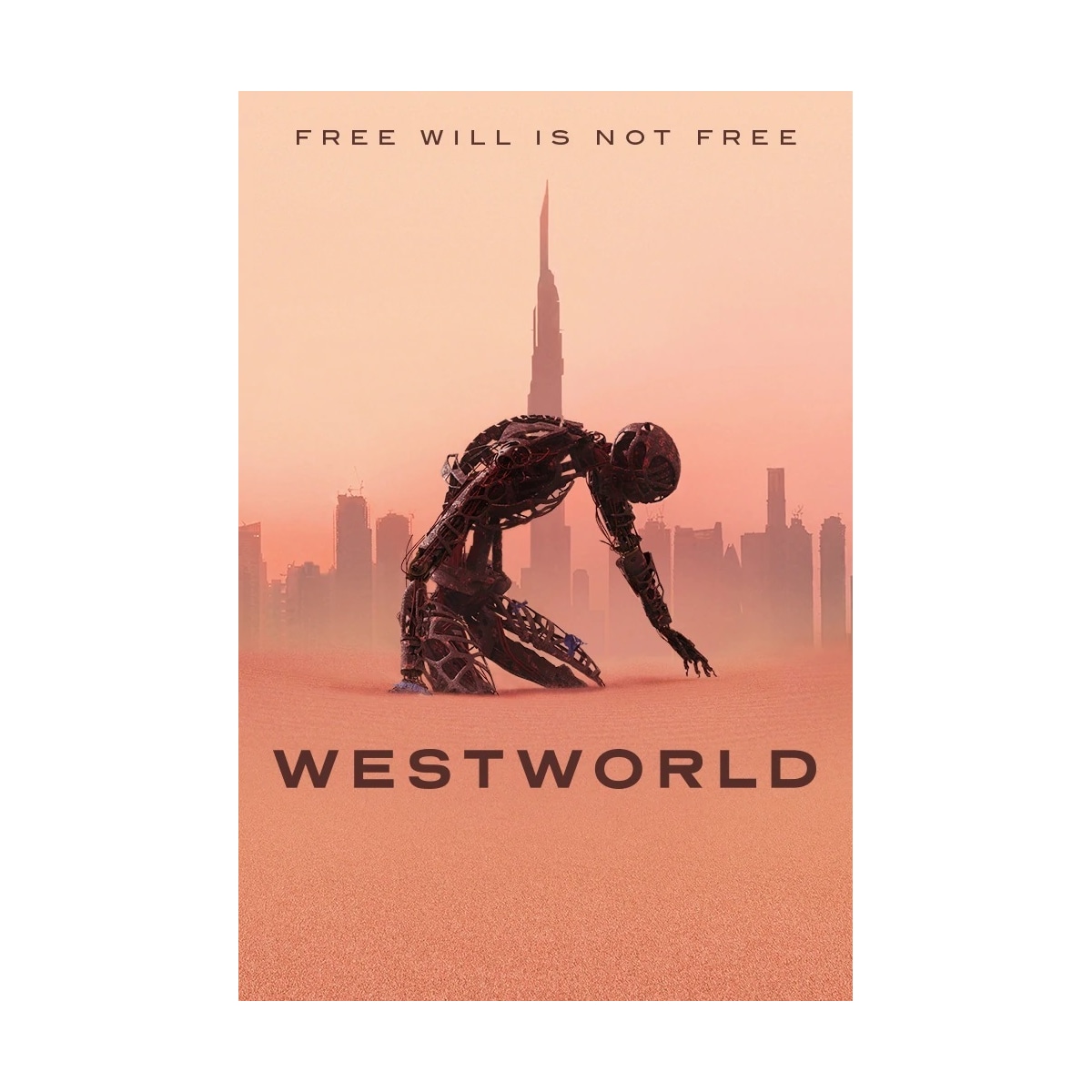 WESTWORLD SEASON 3 (DVD)
