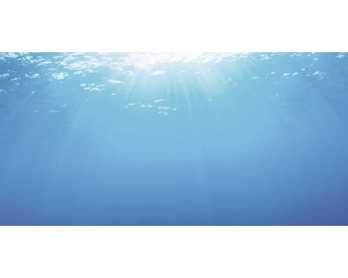 Jewel Back Panel Poster Water S 60 x 30 cm
