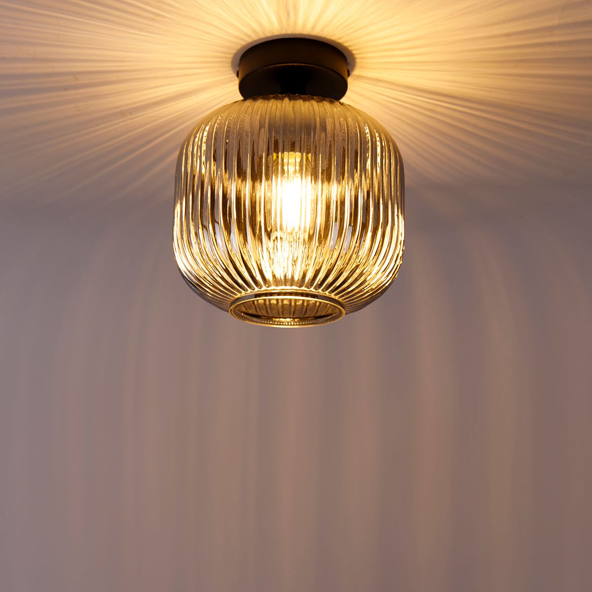Smart plafondlamp zwart met smoke glas incl. Wifi A60 - Karel