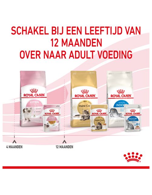Royal Canin Kitten In Jelly - Kitten-Kattenvoer - 85 g Natvoer