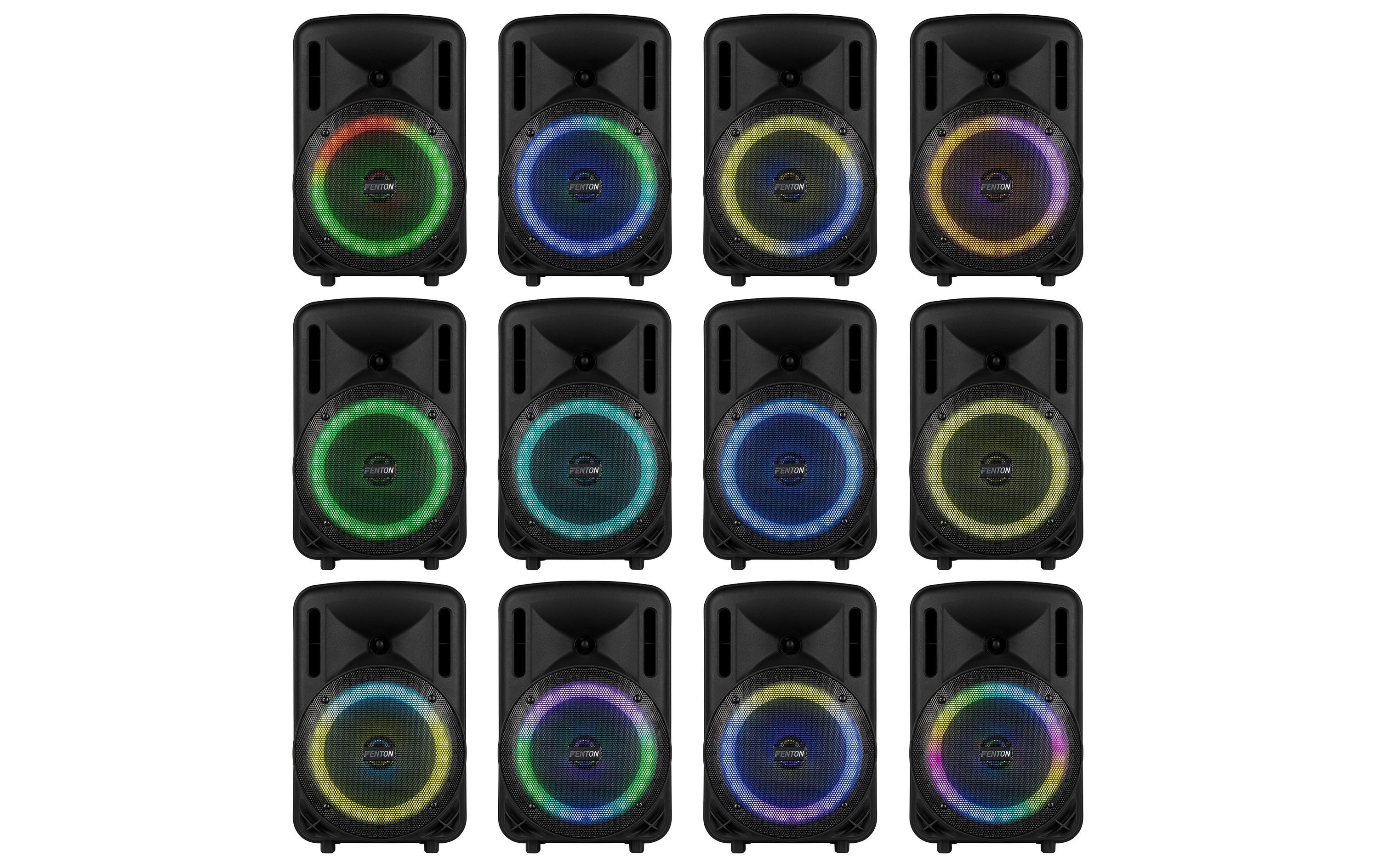 Lautsprecher FT08 lED MK2<br>Tragbarer PA-Lautsprecher mit LED