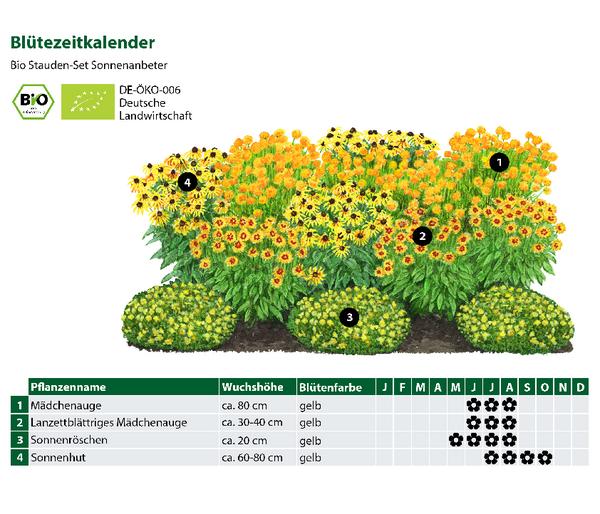 Bio Stauden-Set Sonnenanbeter, 12-teilig