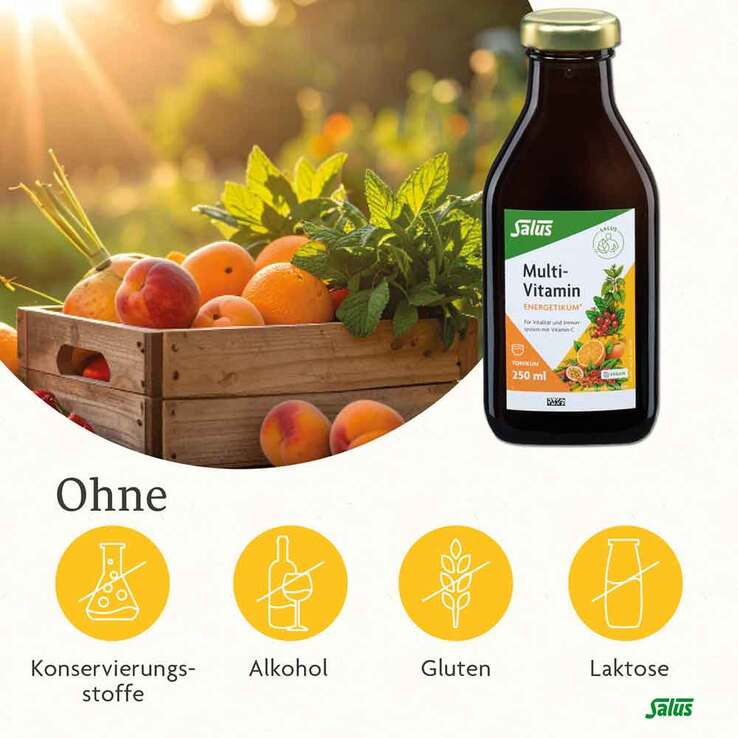 Multivitamin Energetikum Salus, 250 ml