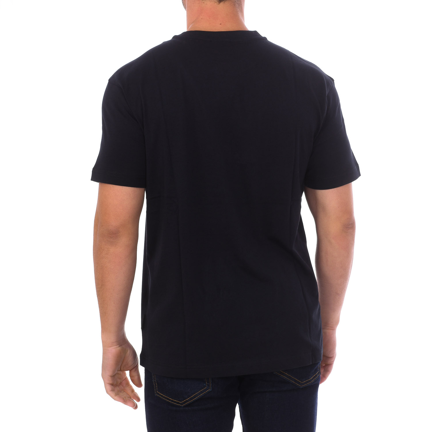 Camiseta S-backcountry Ss Np0a4gm1
