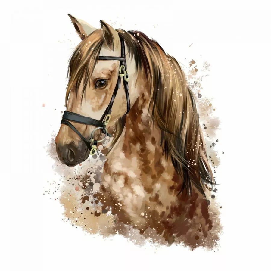 Nikima Wandtattoo 085 Wandtattoo Pferd Kopf braun Kinderzimmer Sticker Aufkleber braun