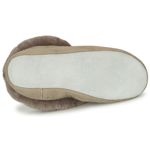 Shepherd - PITEA - Gris