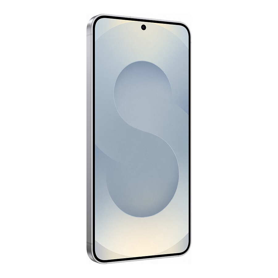 Samsung Galaxy S25 5G (Gris) - 256 Go