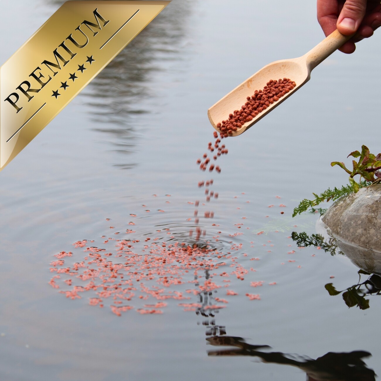 Lyra Pet Lyra Pond Pond Colour Astax Pellets im Eimer 10 l