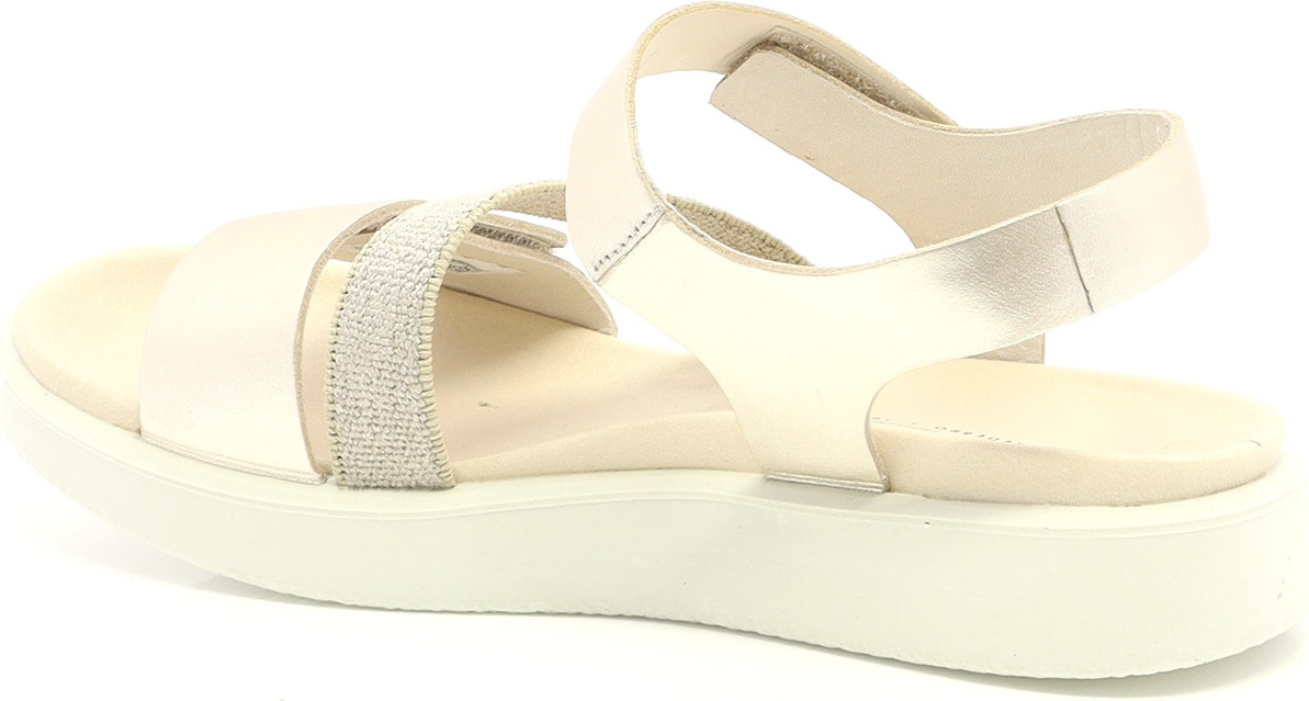 81476 ECCO