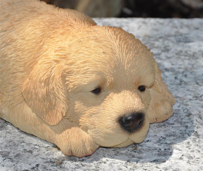 Dazikemo Dekofigur Gartenfigur Golden Retriever