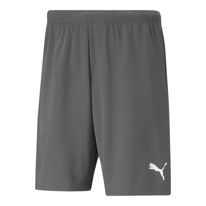 Puma teamRISE Short Heren