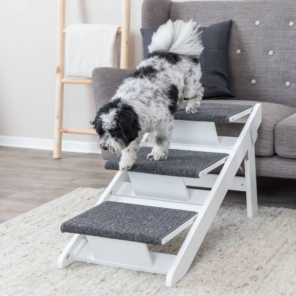 Rampa para animais de estimação