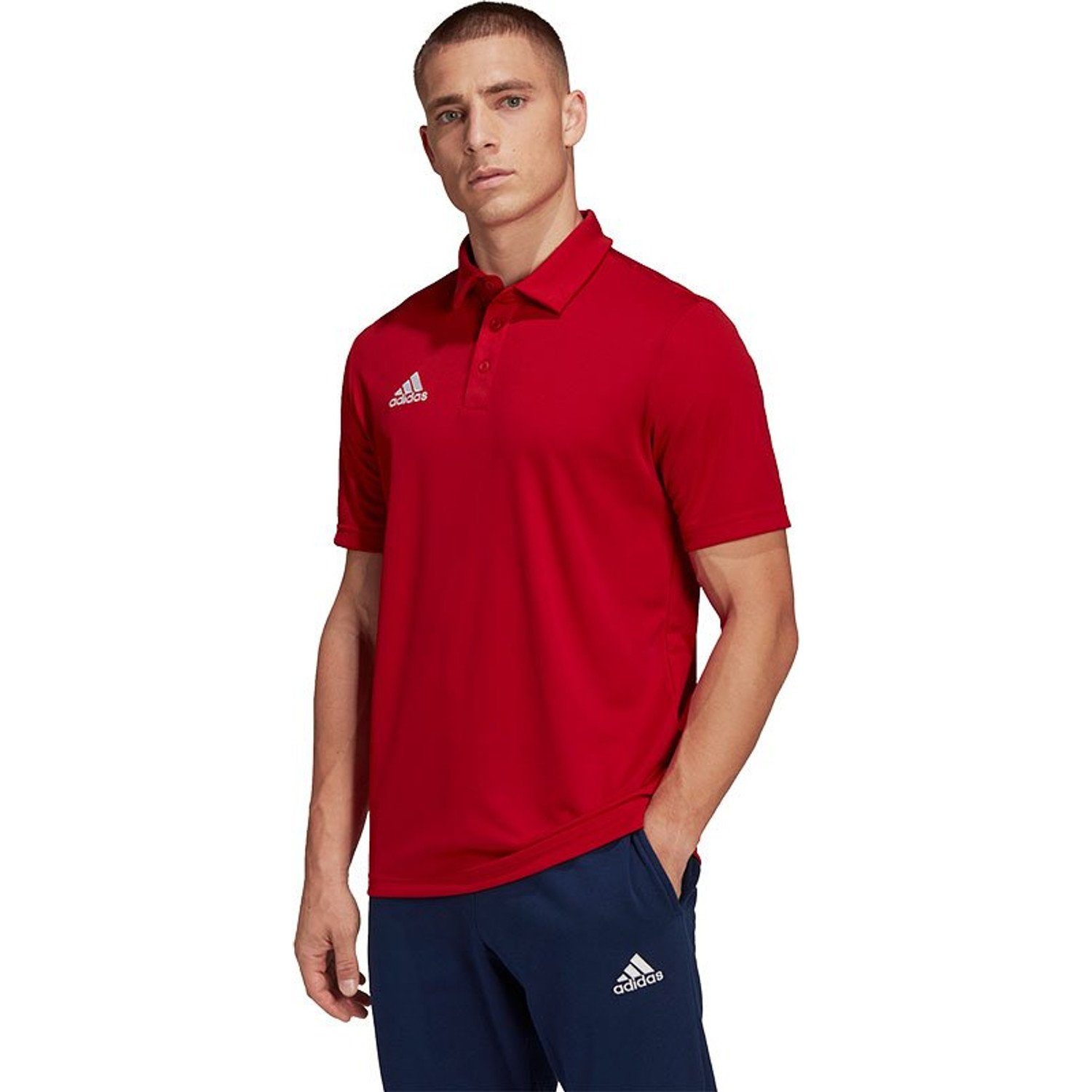 adidas Entrada 22 Polo