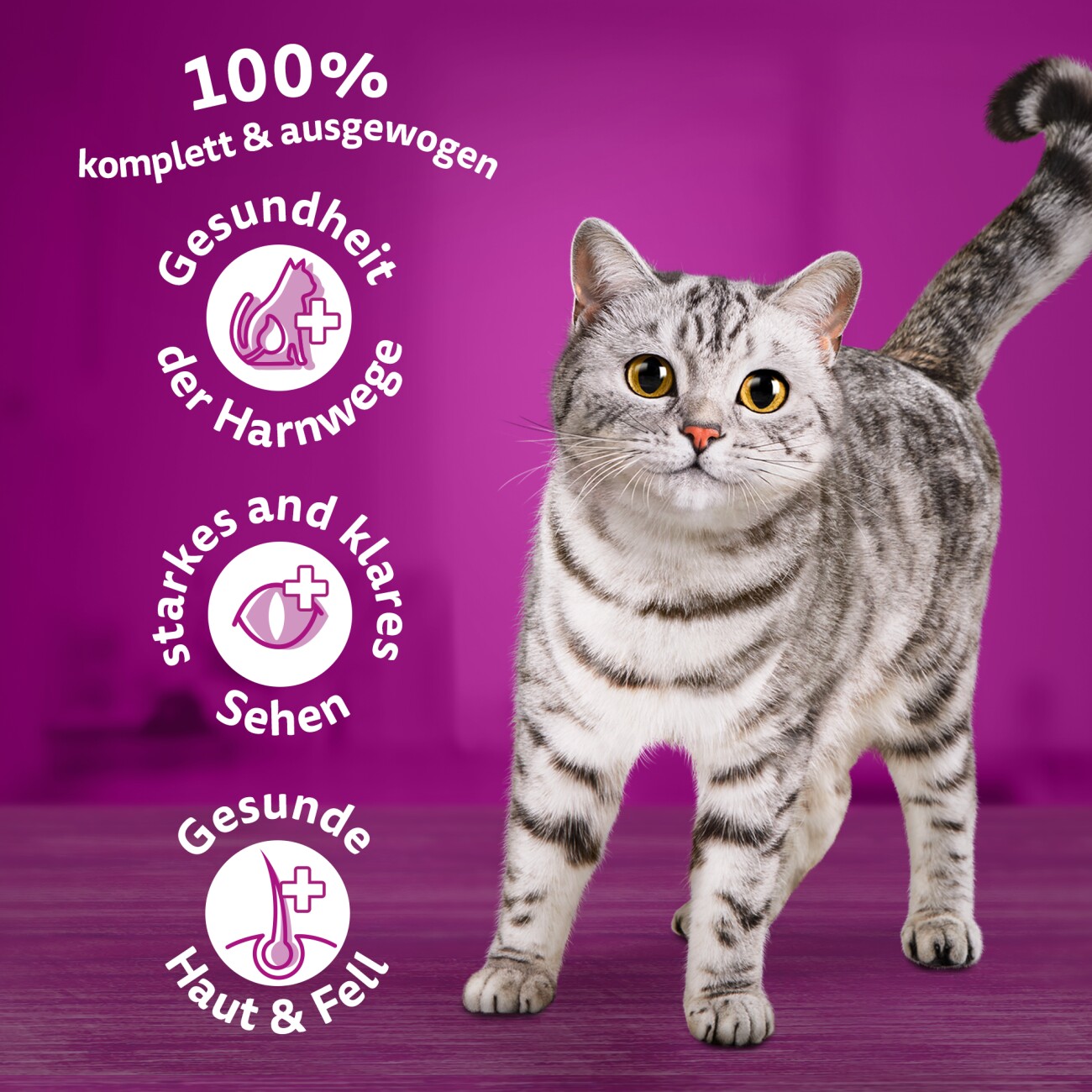 Whiskas 1+ Adult Trockenfutter 800g