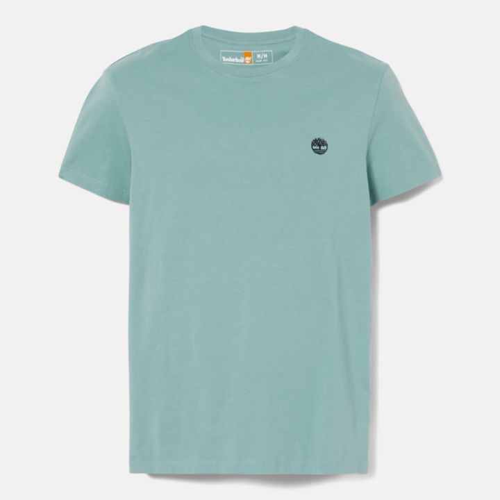 Camiseta Dunstan River Crewneck Masculina na cor Verde-azulado