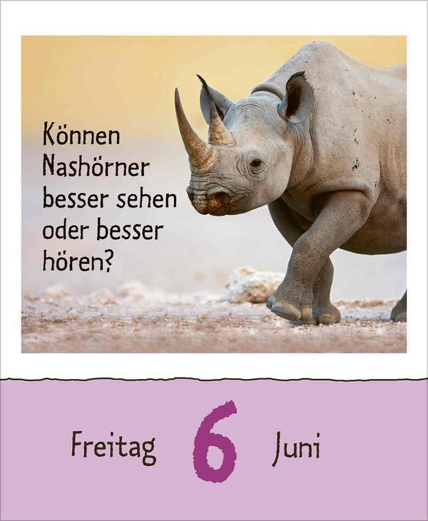 Wie faul ist das Faultier? 2025