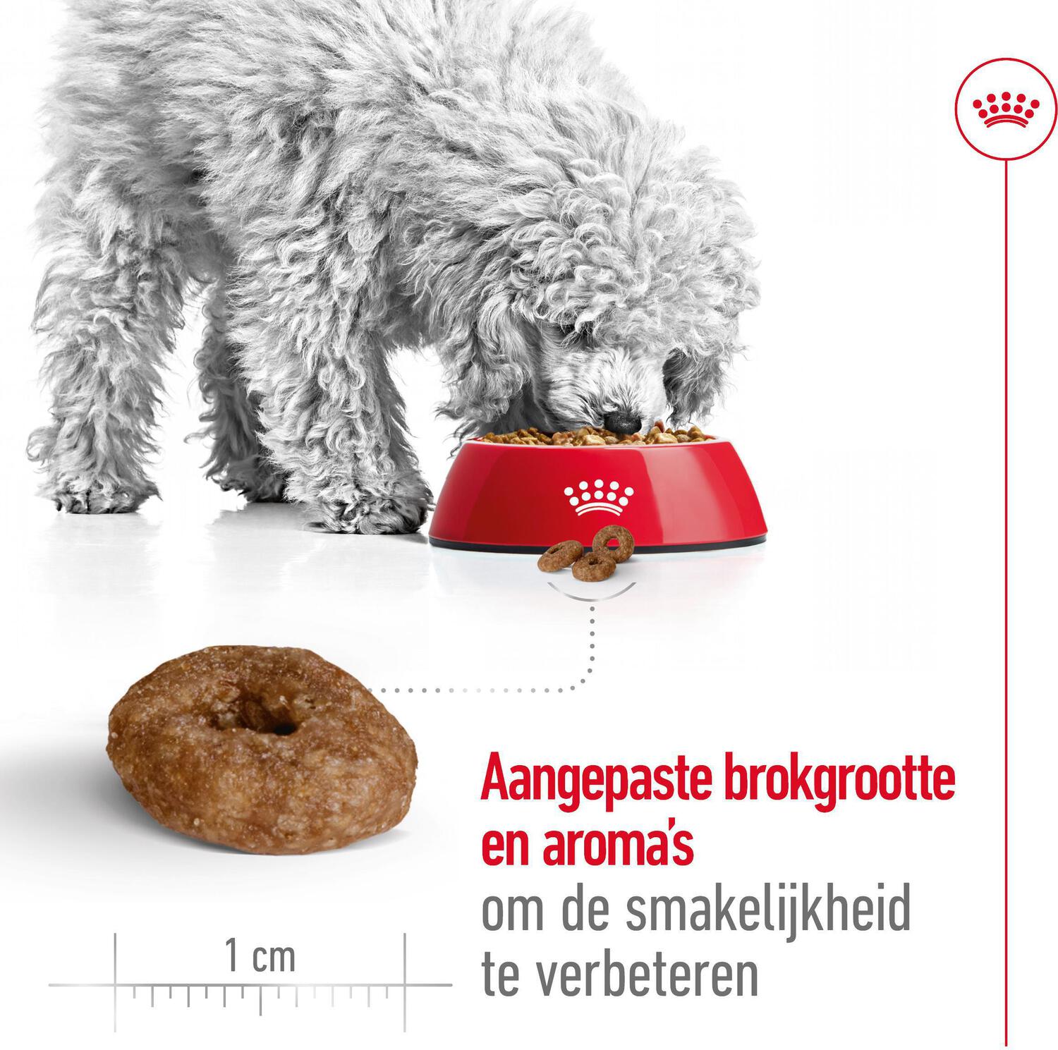 Royal Canin hondenvoer Mini Ageing 12+ 1,5 kg
