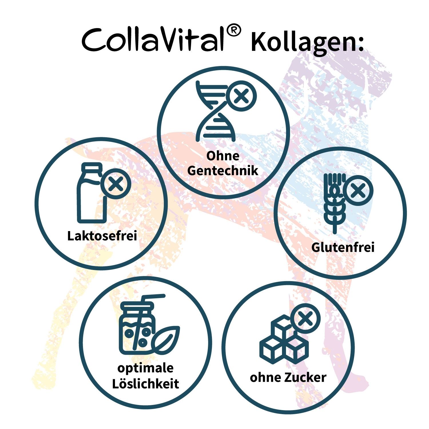 Collavital® Dog BOOSTER Collagen - Bioaktives Kollagen Hydrolysat Typ 2