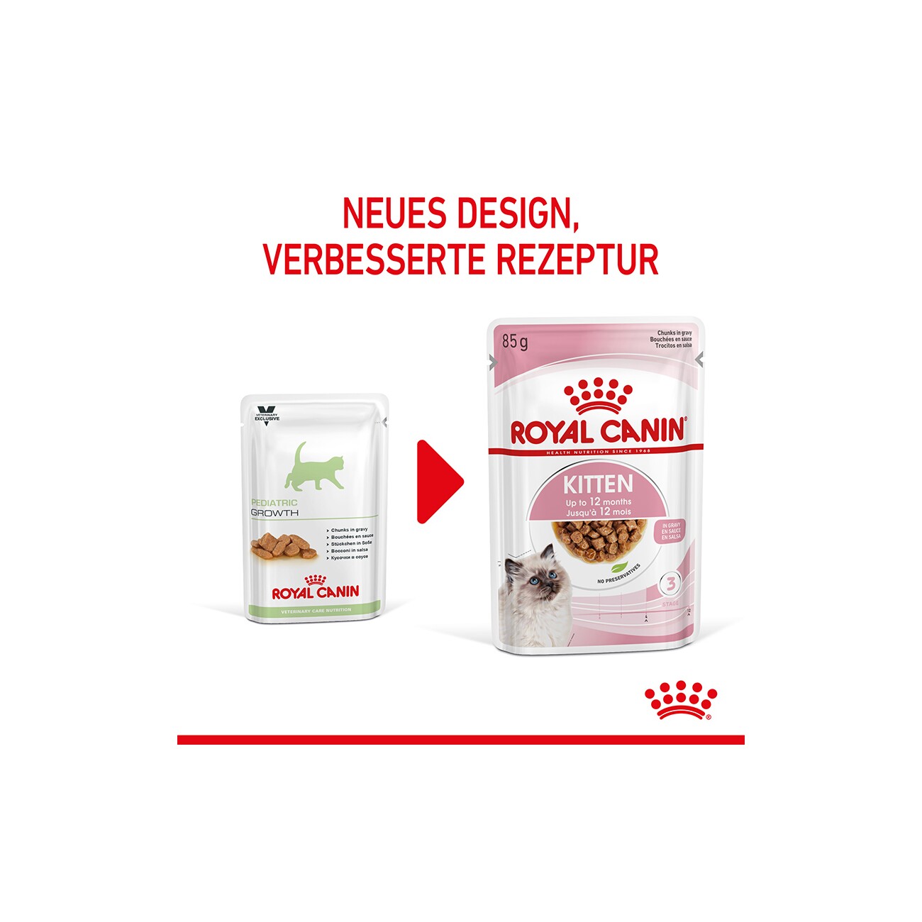 ROYAL CANIN Kitten in Soße 12x85 g