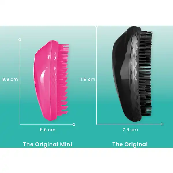 The Original Hairbrush