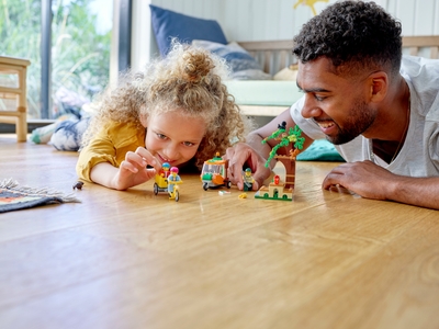 LEGO Picknick in het park (60326)