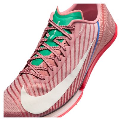 Chaussures d'Athlétisme Nike Maxfly 2 Marron/Rouge Homme
