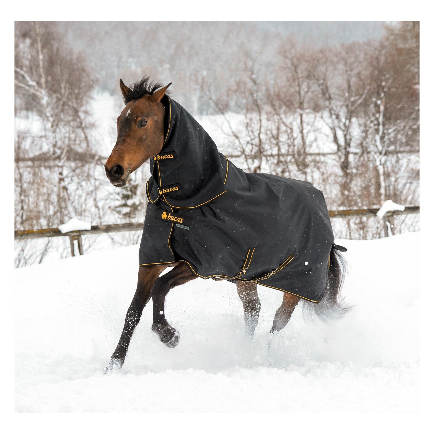 bucas Halsteil Irish Turnout Combi Neck - black/gold