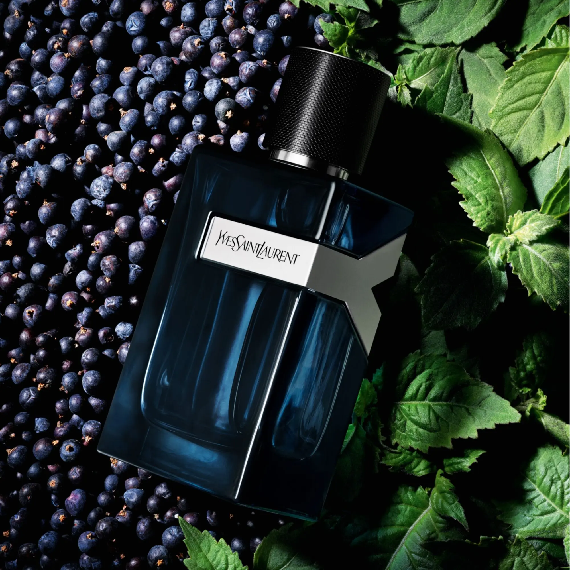 Yves Saint Laurent - Y Eau de Parfum Intense- Eau de parfum