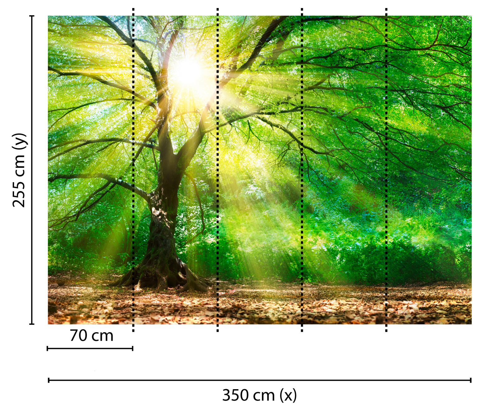 Fototapete DESIGNWALLS - grün-braun - Wald - 2,55 Meter